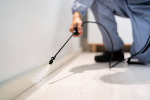 Licensed Termite Control service in West Belmar, NJ - Show Me Pest Control